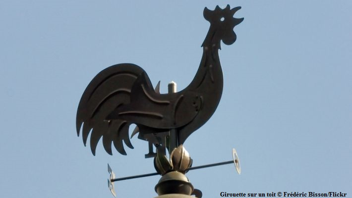 Why is France's emblem a rooster? - Ensemble en France
