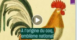 coq emblème de la france